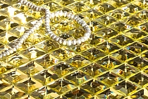 DIAMOND Glass mosaic GOLD A113