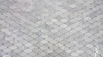 Biały marmur Carrara octagon Mozaikia kamienna hexa Diament Mar 04